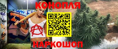 спайс Моздок