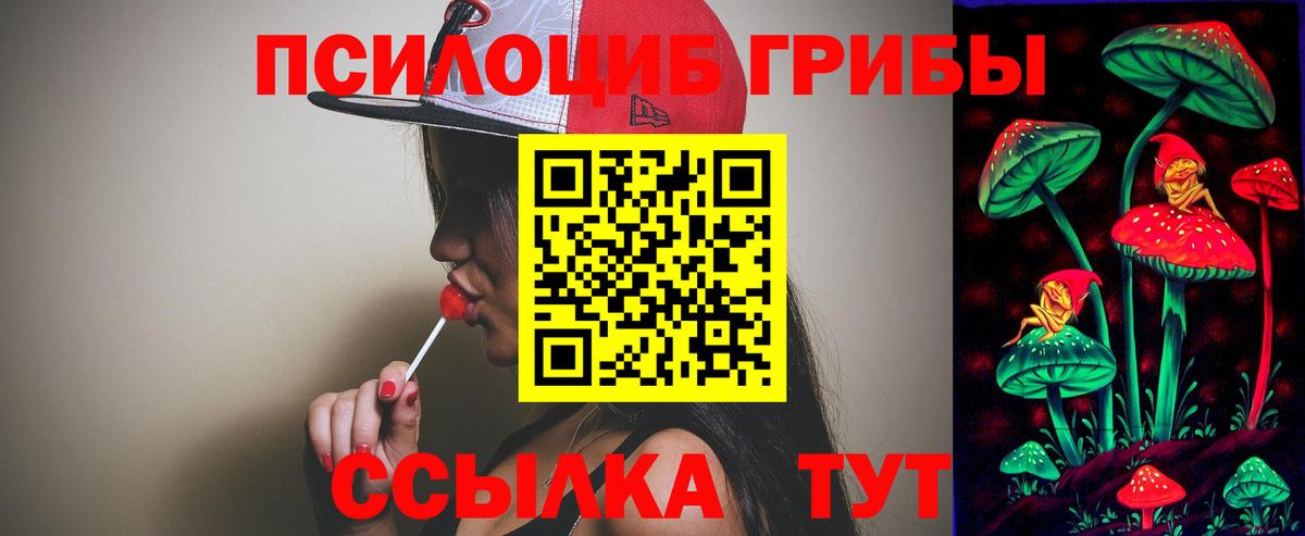 Псилоцибиновые грибы GOLDEN TEACHER  Галлюциногенные грибы прущие грибы  Туймазы  Вход с VPN 